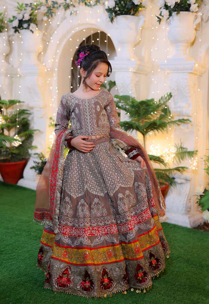 Nanhi Shahzadi | KNS-019 |