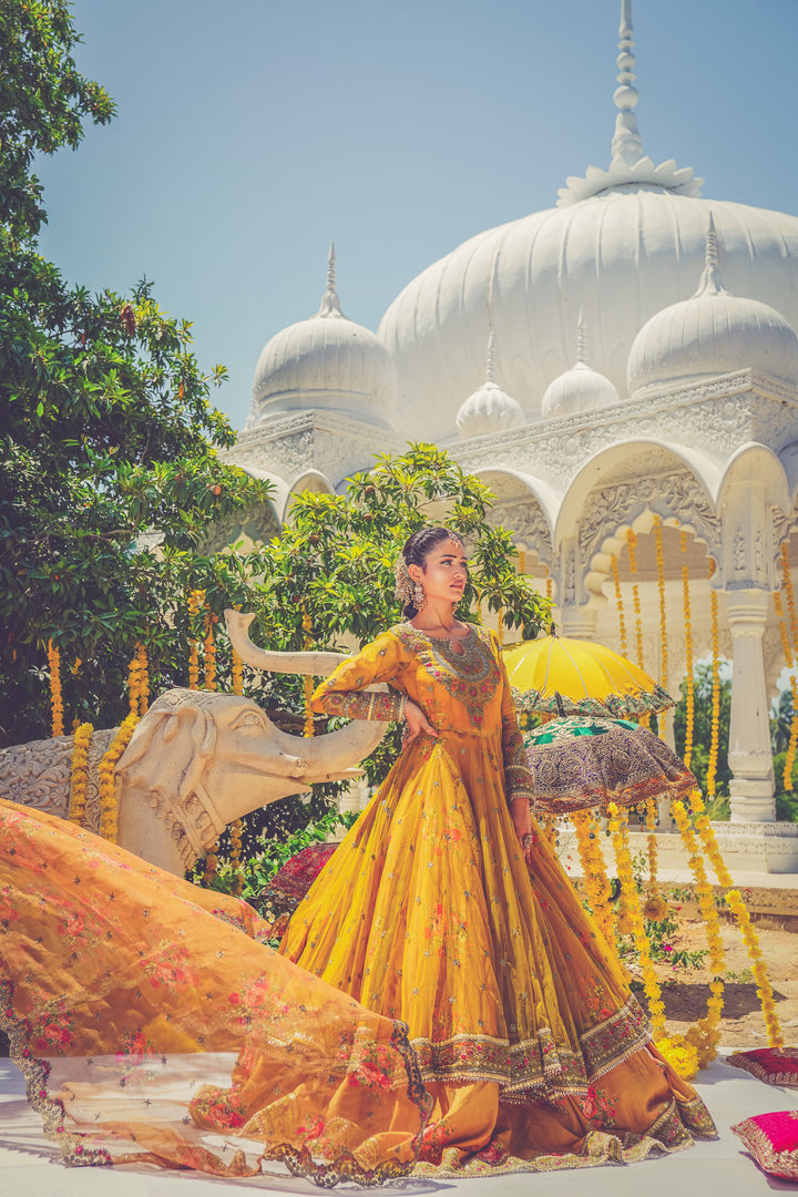 Kashees Naqsh Collection| KNNC-13|