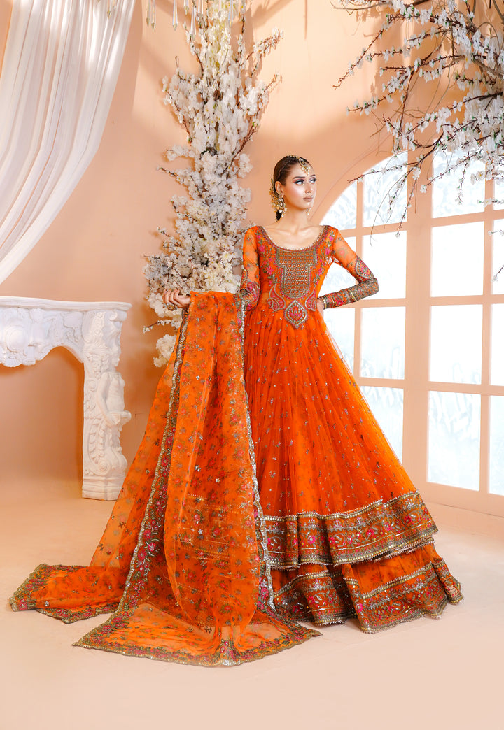 Kashees Naqsh Collection| KNNC-5|