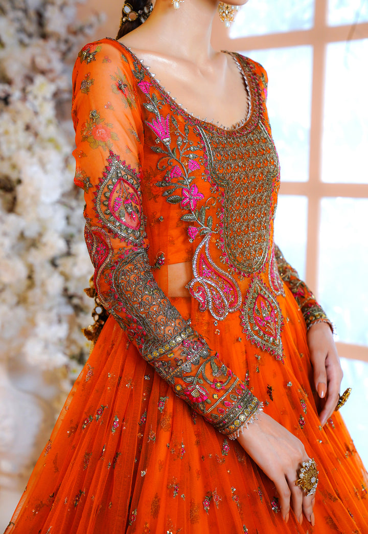 Kashees Naqsh Collection| KNNC-5|