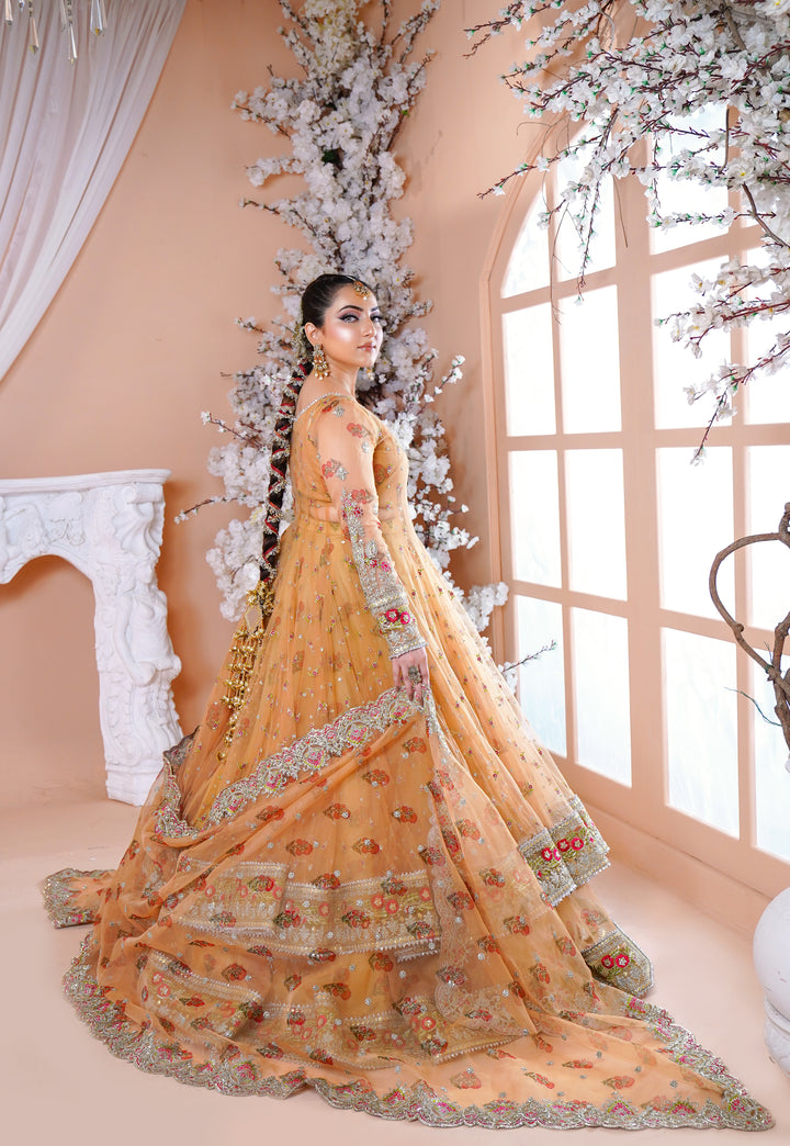 Kashees Naqsh Collection| KNNC-7|