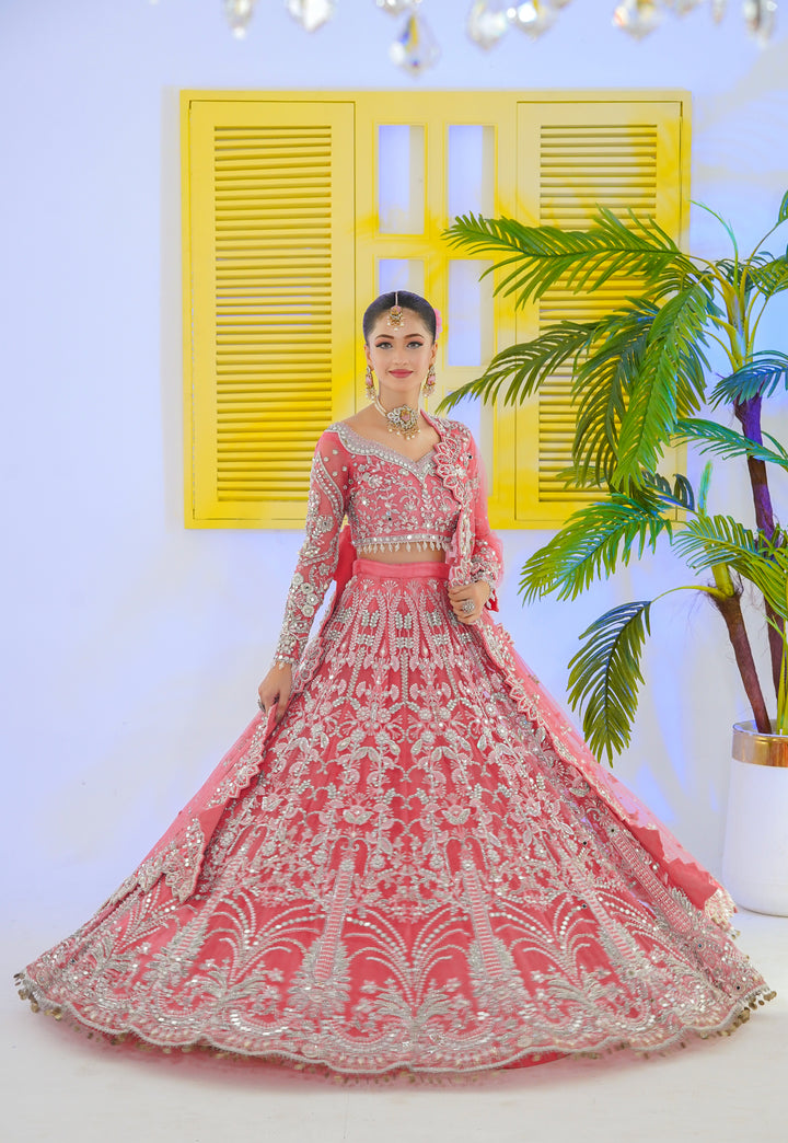 Kashees Bridal Wear| KBW-144 |