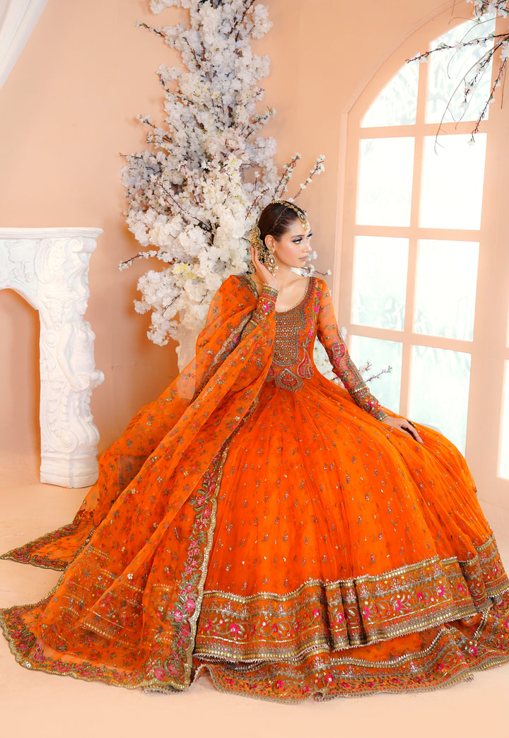 Kashees Naqsh Collection| KNNC-5|