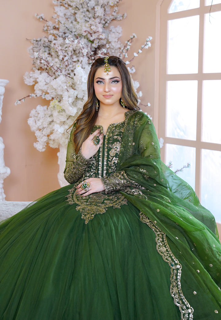 Kashees Naqsh Collection| KNNC-6|