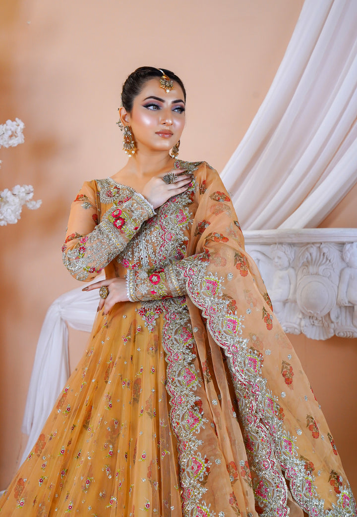 Kashees Naqsh Collection| KNNC-7|