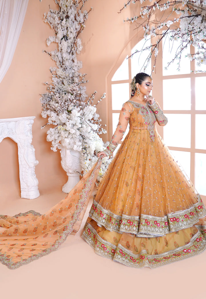 Kashees Naqsh Collection| KNNC-7|
