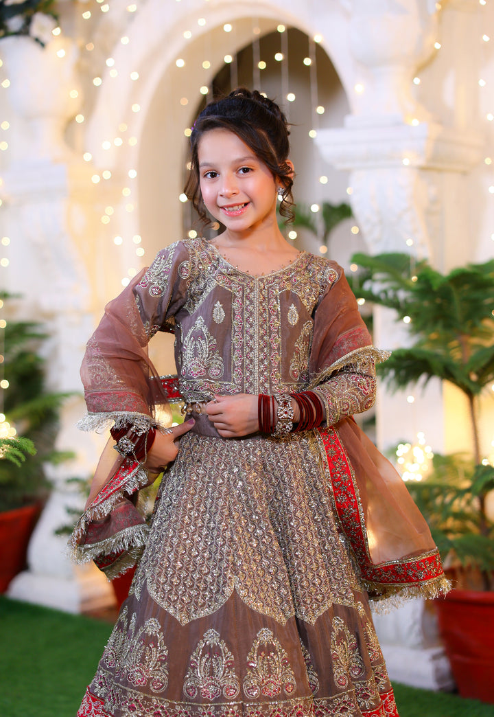 Nanhi Shahzadi | KNS-019 |