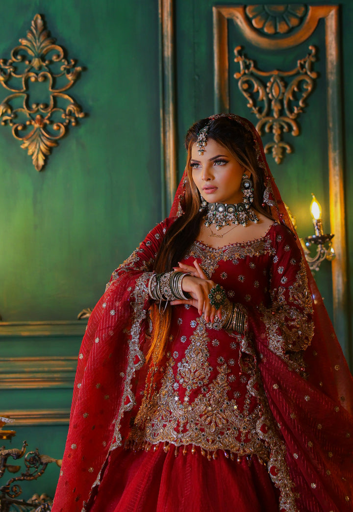 RAANIYA PARTY WEAR IN SHAHNAEE | KSCC-012 |