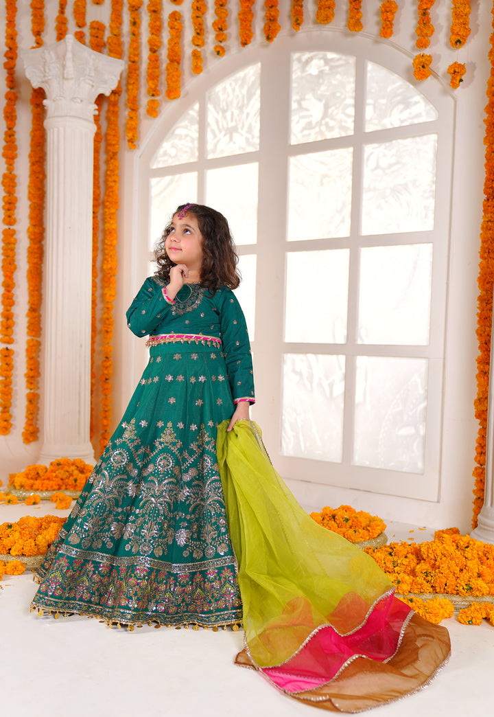 Kashees Moomal Collection | KMC-1 |