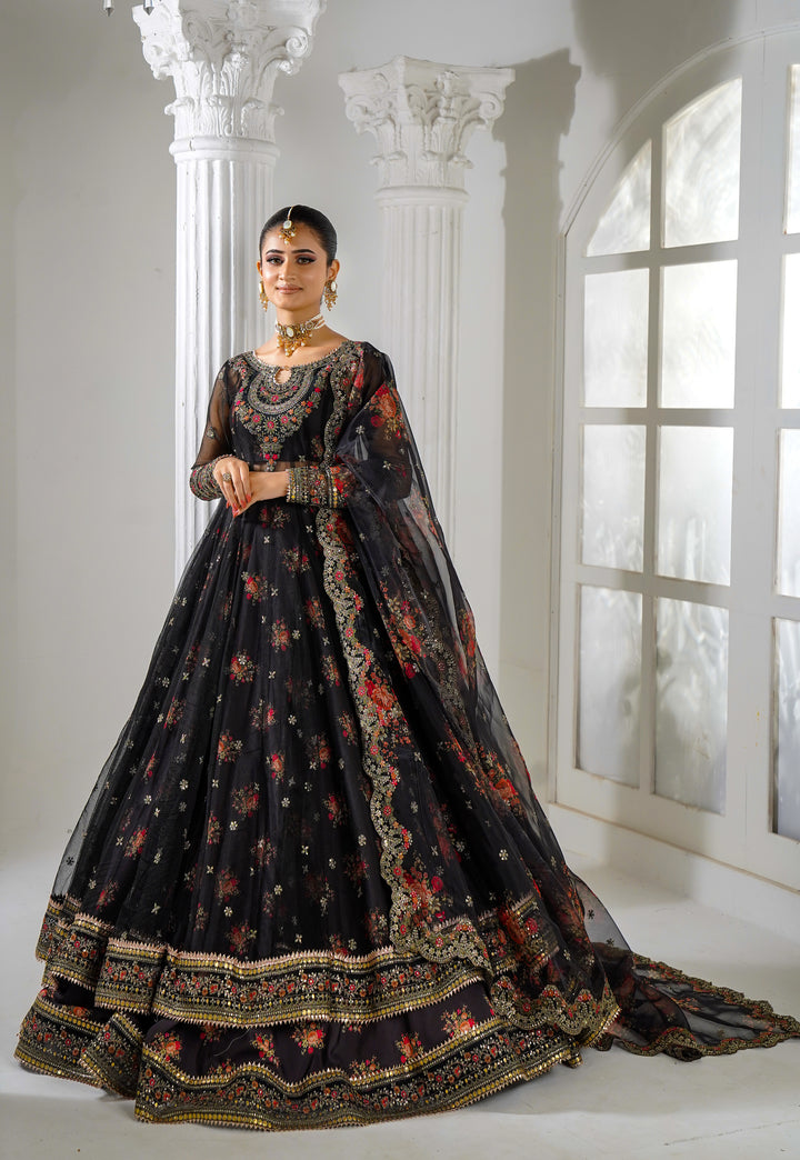 Kashees Naqsh Collection| KNNC-1 |