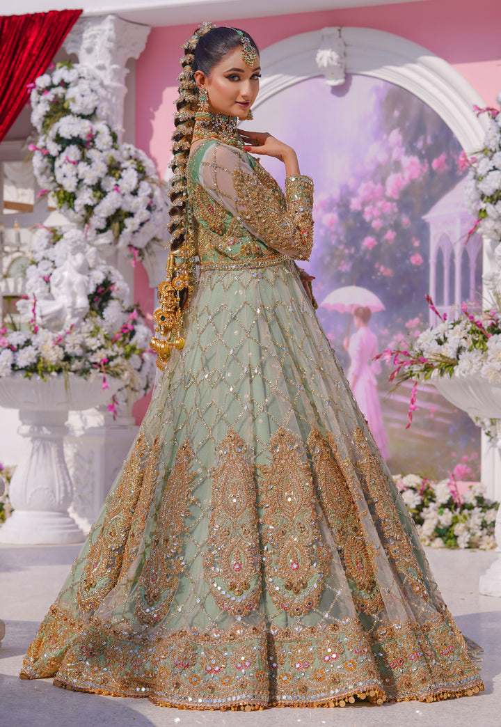Kashees Bridal Wear| KBW-093 |