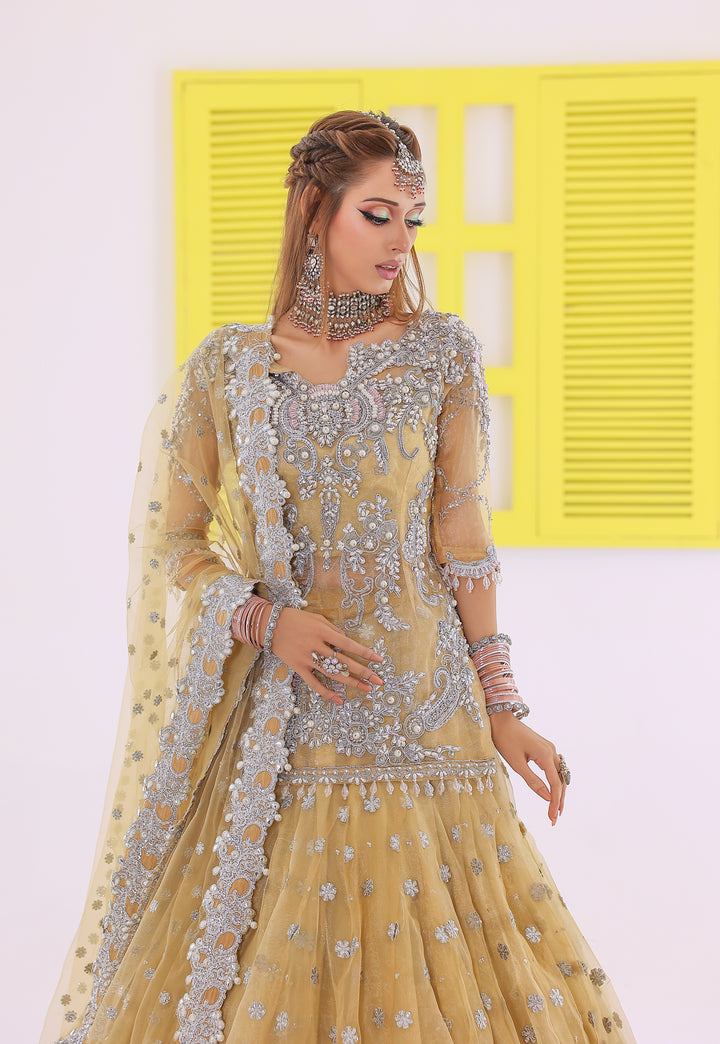Pari Shah Collection | KPSC-004 |