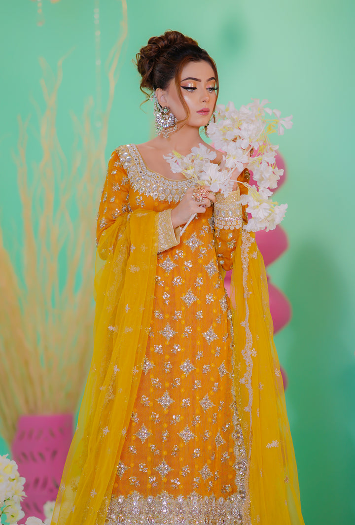 Meherban Party Wear Collection | MPWC-001 |