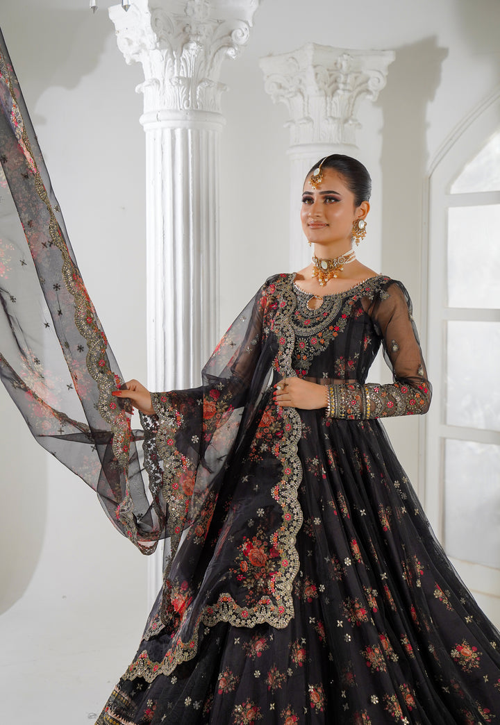 Kashees Naqsh Collection| KNNC-1 |