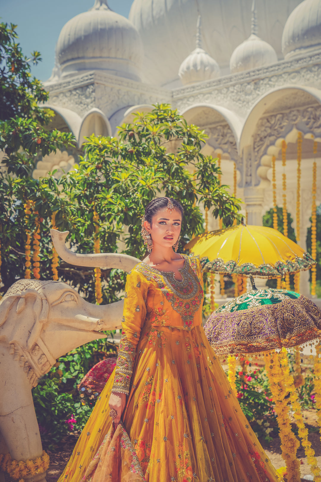 Kashees Naqsh Collection| KNNC-13|