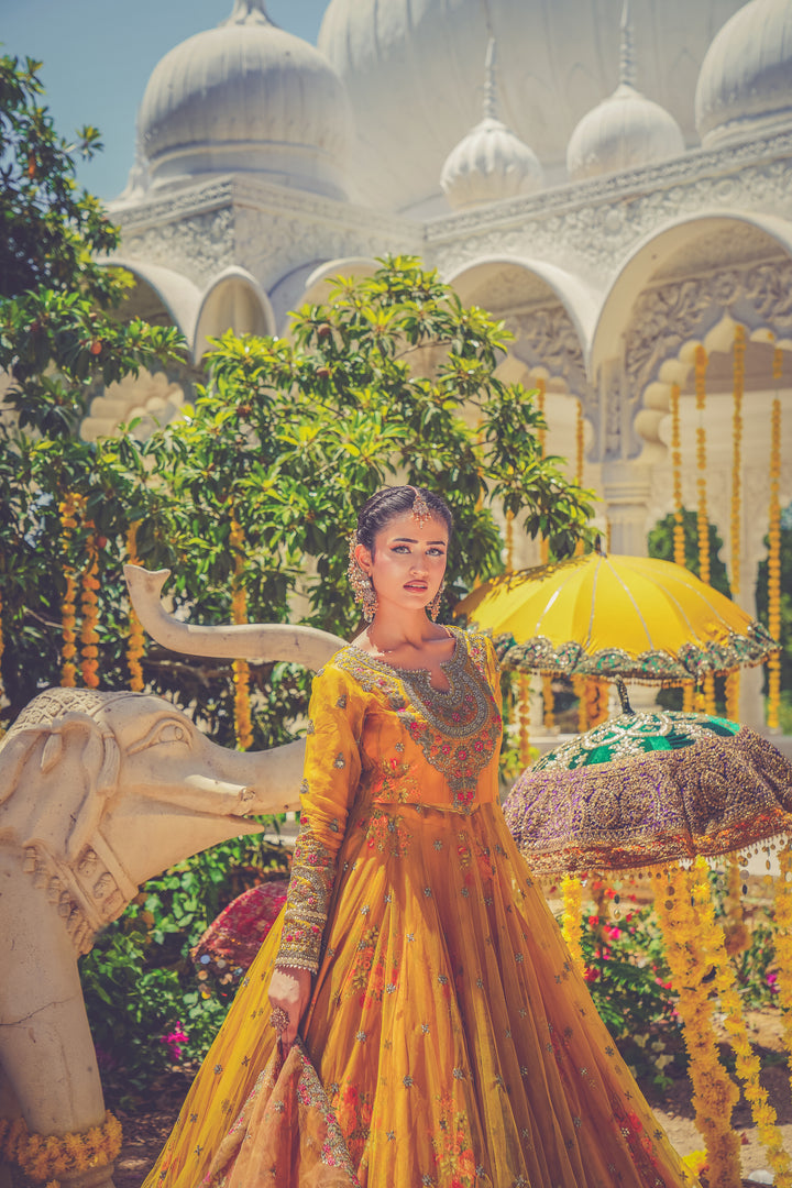 Kashees Naqsh Collection| KNNC-13|