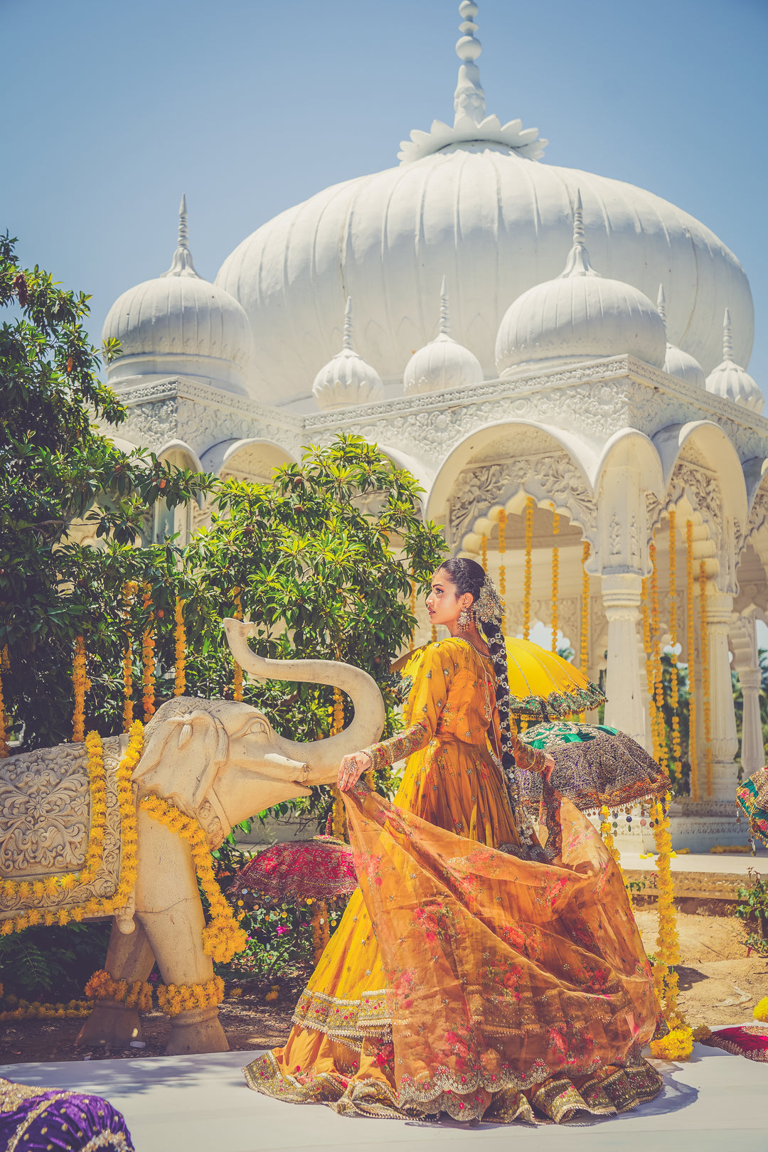 Kashees Naqsh Collection| KNNC-13|