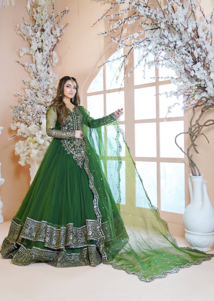 Kashees Naqsh Collection| KNNC-6|