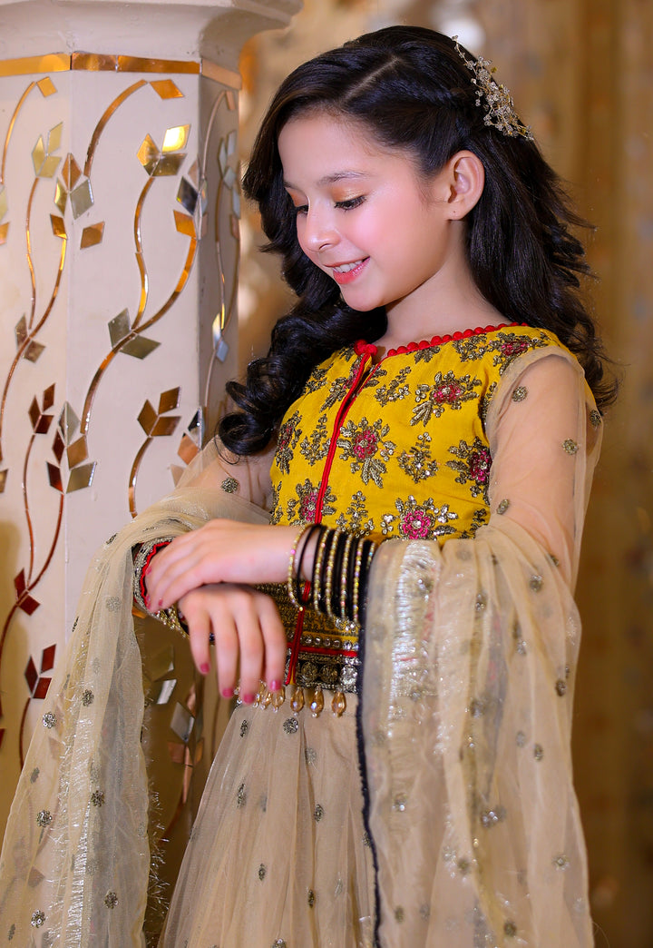 Nanhi Shahzadi | KNS-021 |
