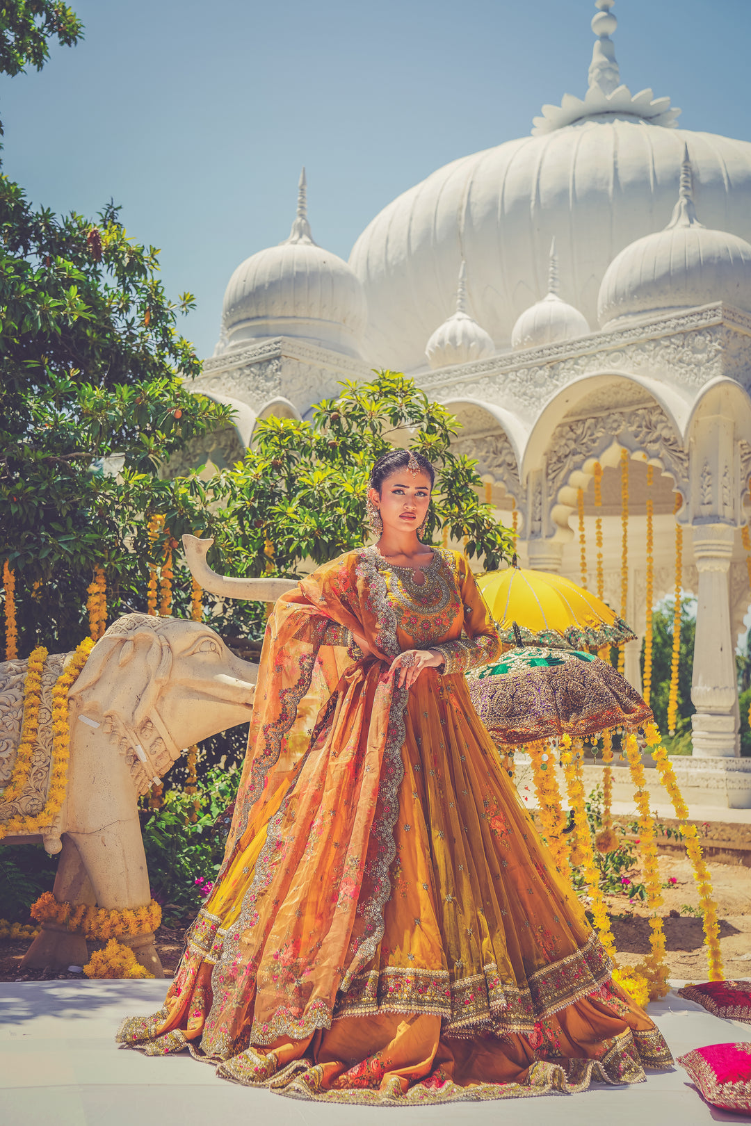 Kashees Naqsh Collection| KNNC-13|