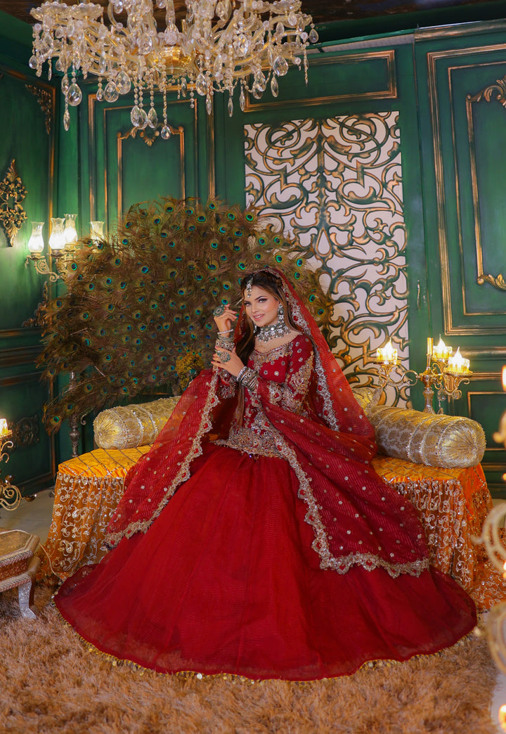 RAANIYA PARTY WEAR IN SHAHNAEE | KSCC-012 |