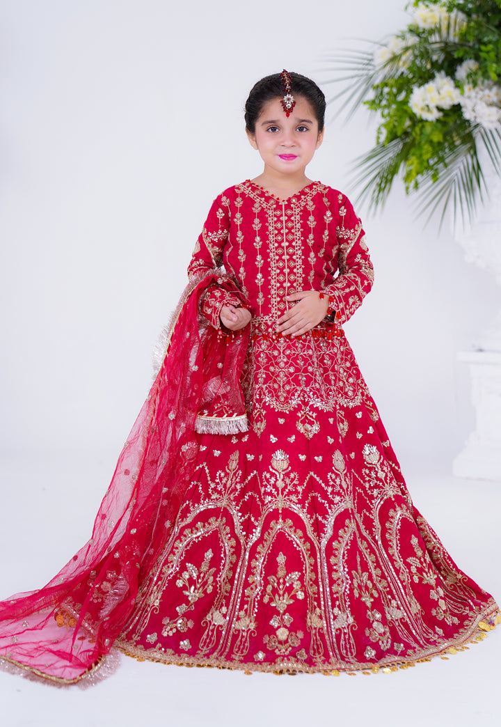 Nanhi Shahzadi | KNS-003 |