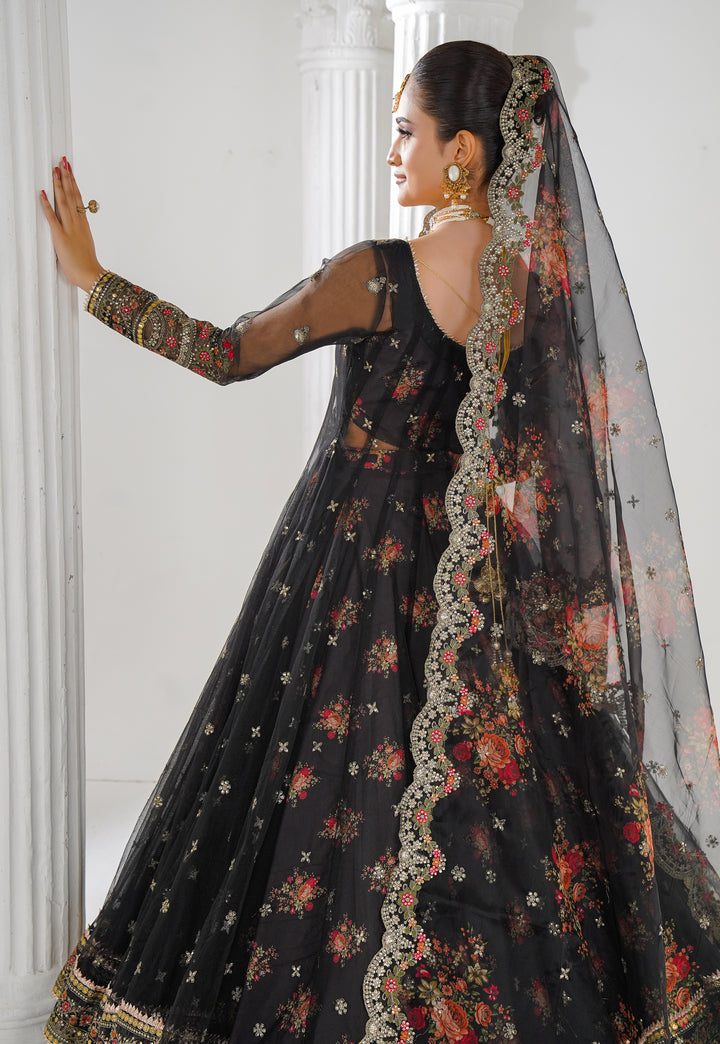 Kashees Naqsh Collection| KNNC-1 |