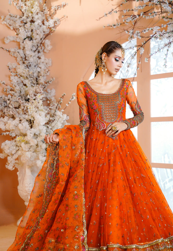 Kashees Naqsh Collection| KNNC-5|
