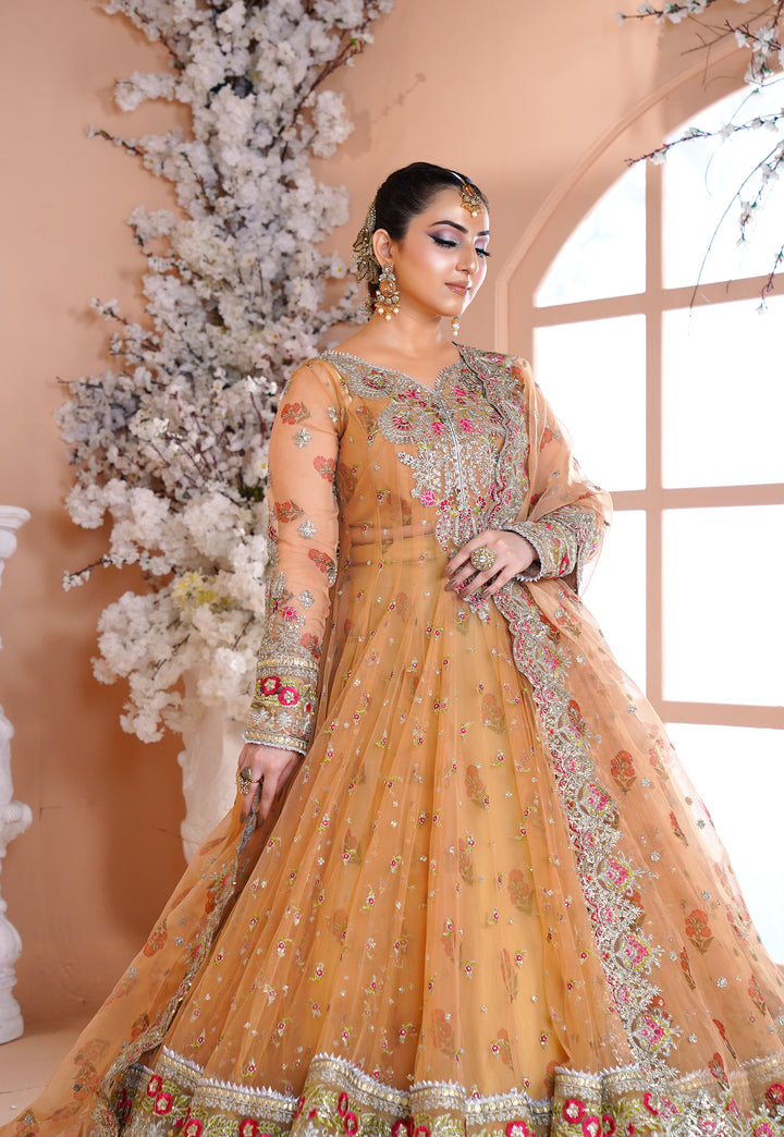 Kashees Naqsh Collection| KNNC-7|