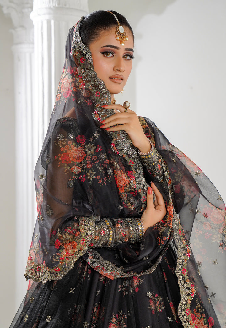 Kashees Naqsh Collection| KNNC-1 |