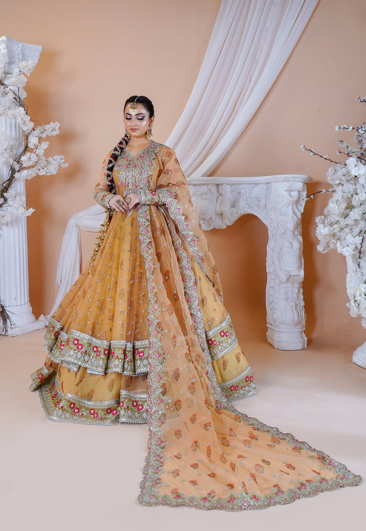 Kashees Naqsh Collection| KNNC-7|