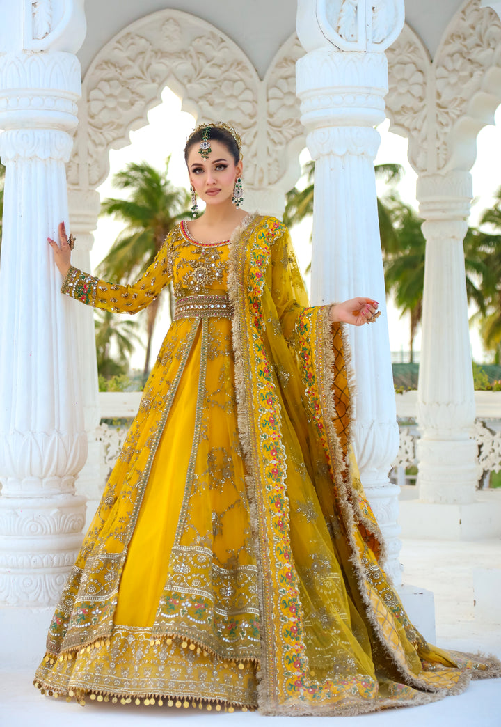 Front Open Style Peshwas | Naina Lage | KFOP-008