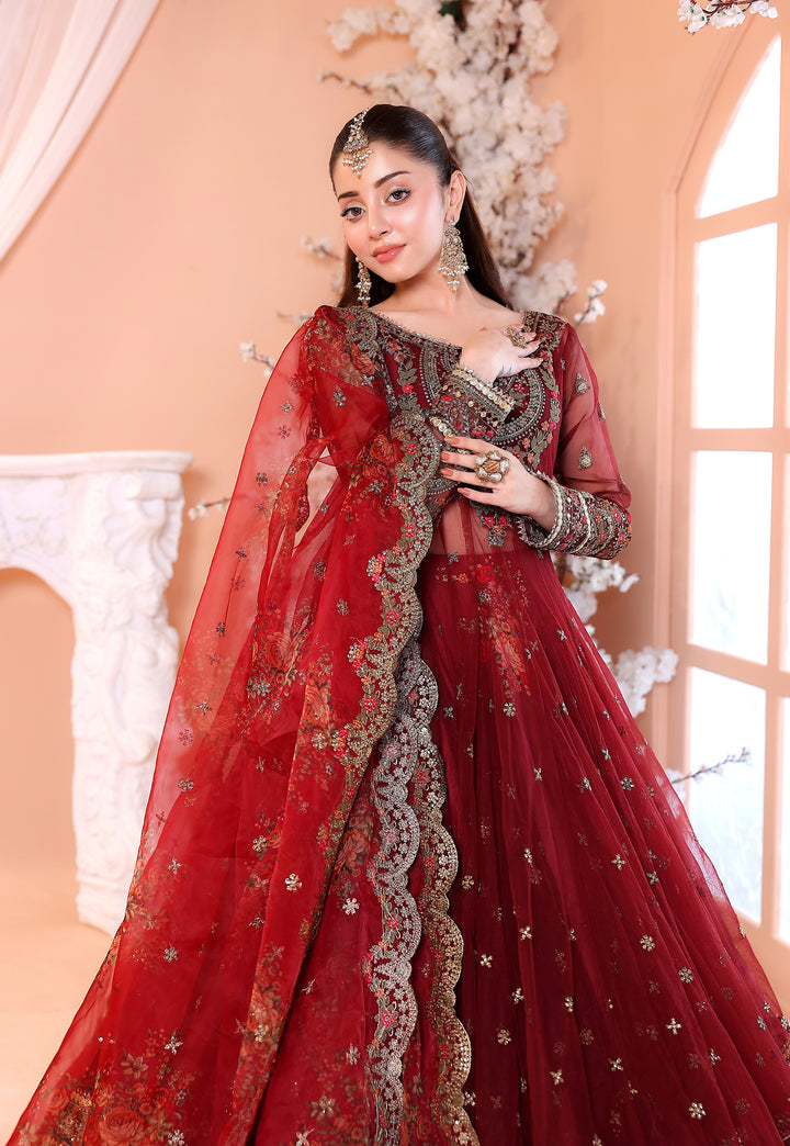 Kashees Naqsh Collection| KNNC-4|