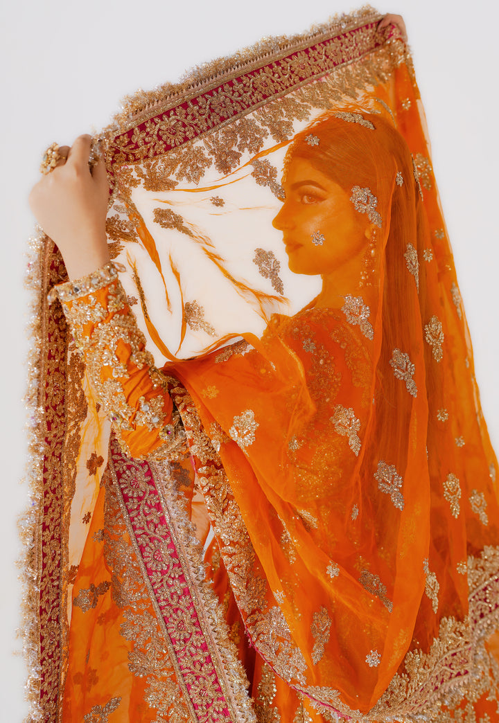 Kashees Bridal Wear| KBW-099 |