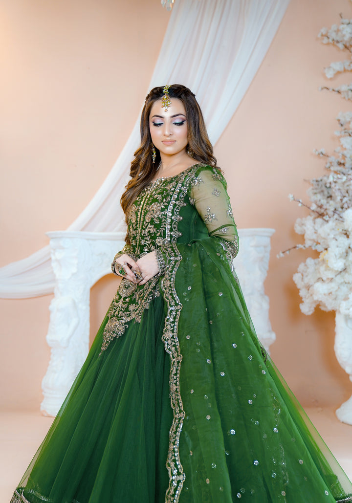 Kashees Naqsh Collection| KNNC-6|