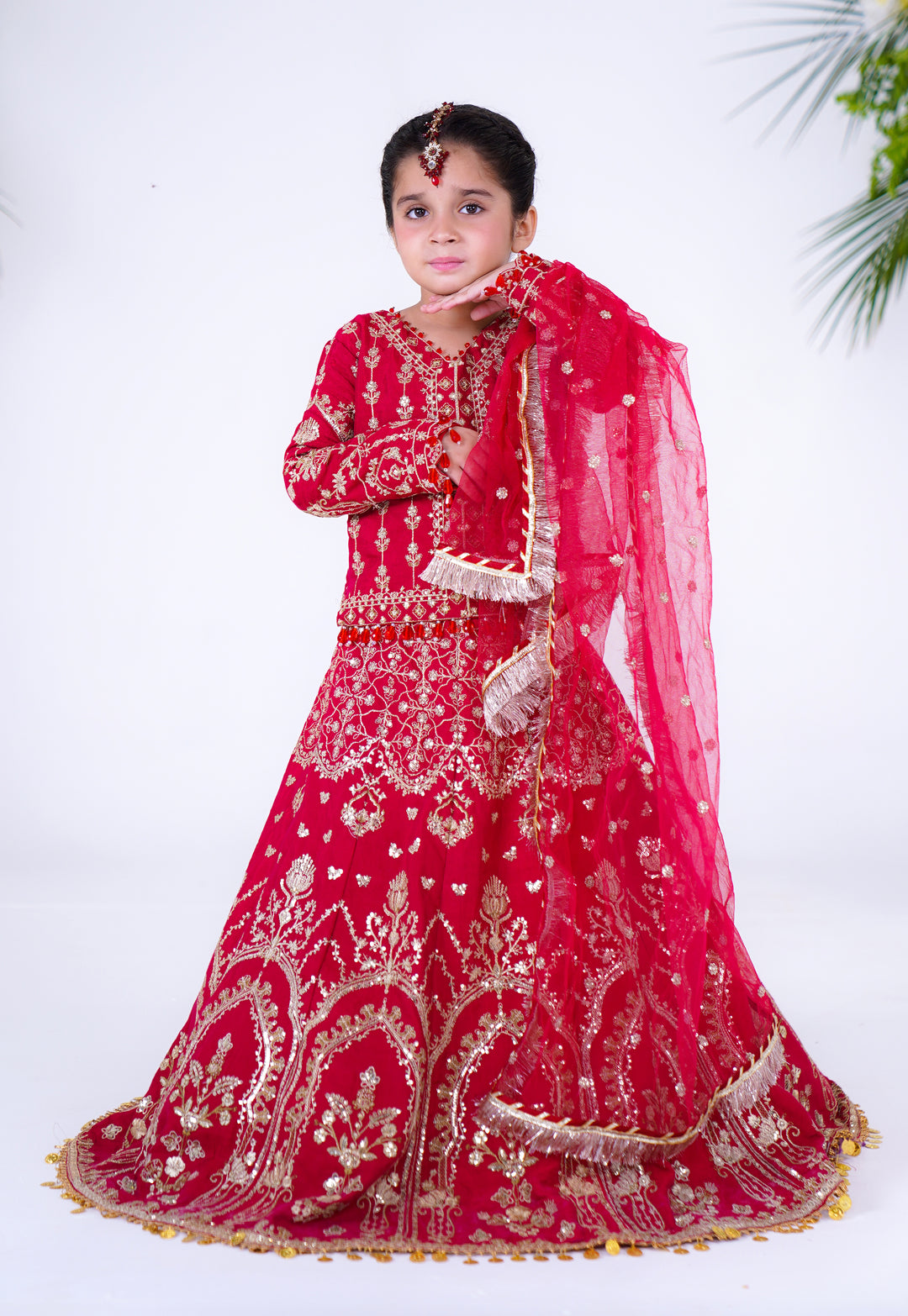 Nanhi Shahzadi | KNS-003 |