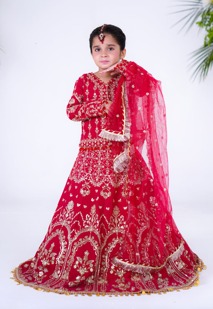 Nanhi Shahzadi | KNS-003 |