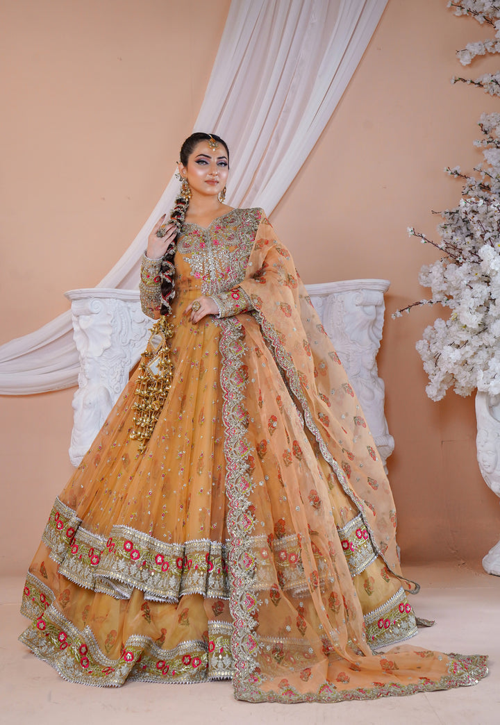 Kashees Naqsh Collection| KNNC-7|