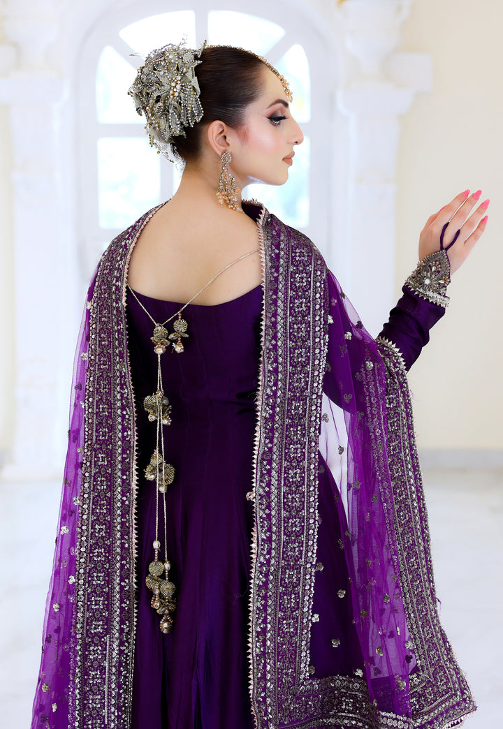 Kalidar Peshwas | Naina Lage | KKDP-001 PURPLE |