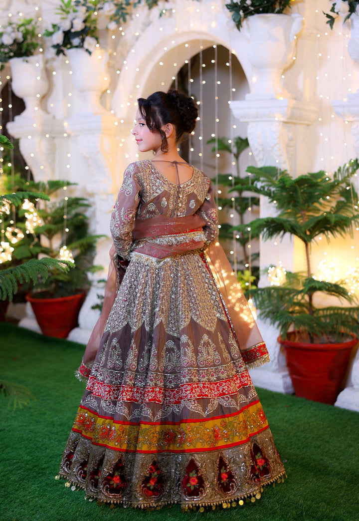 Nanhi Shahzadi | KNS-019 |
