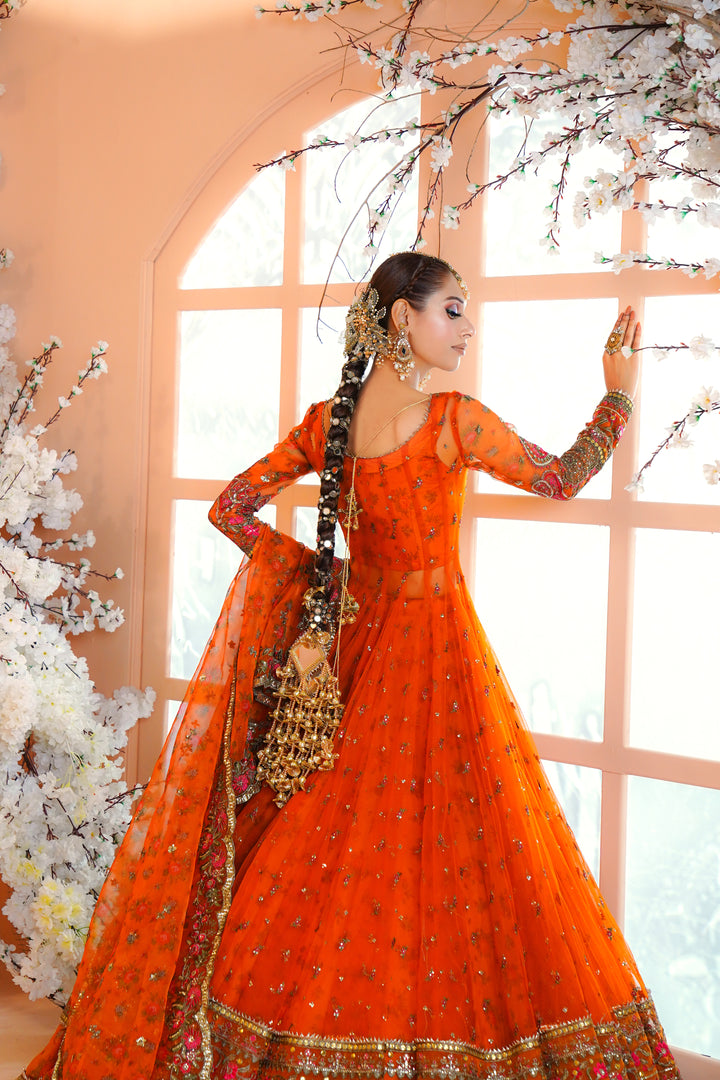 Kashees Naqsh Collection| KNNC-5|