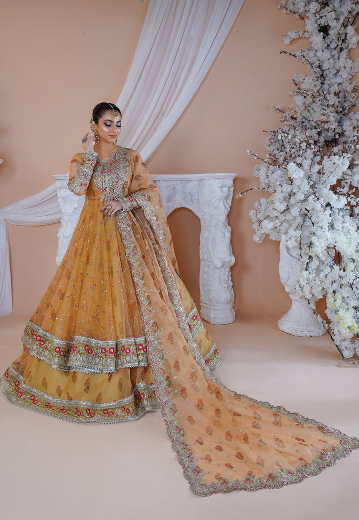Kashees Naqsh Collection| KNNC-7|
