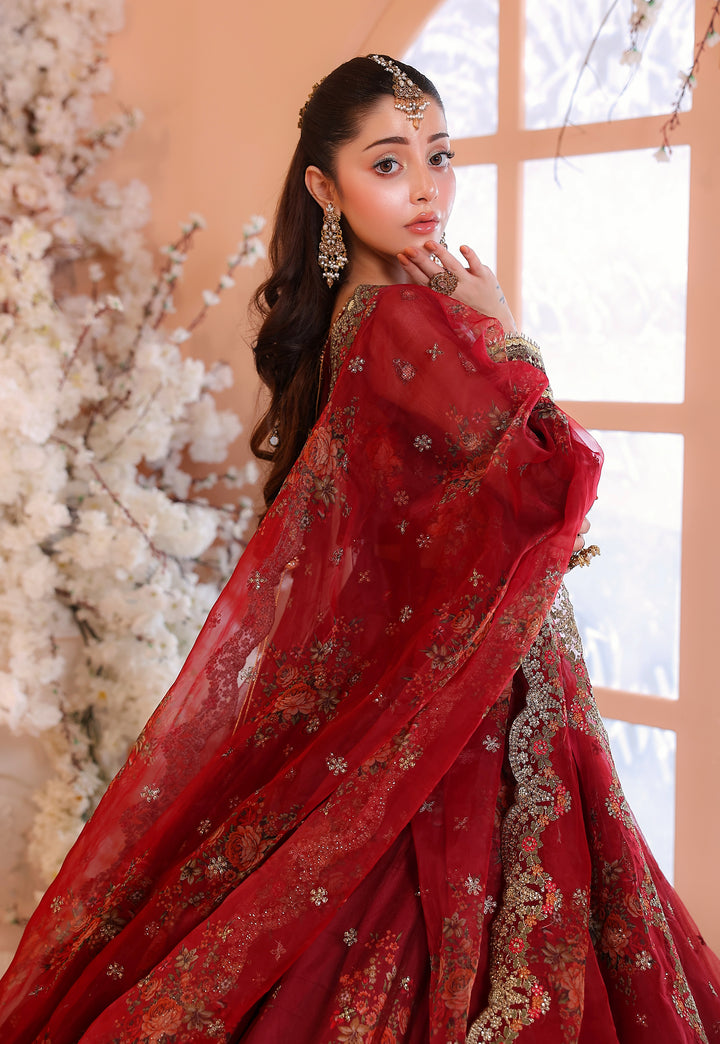 Kashees Naqsh Collection| KNNC-4|