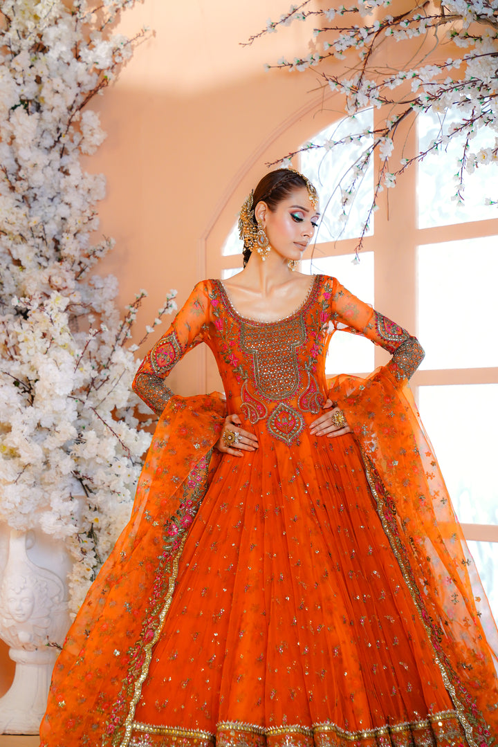 Kashees Naqsh Collection| KNNC-5|