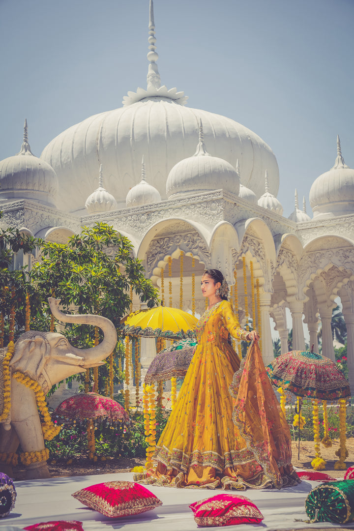 Kashees Naqsh Collection| KNNC-13|
