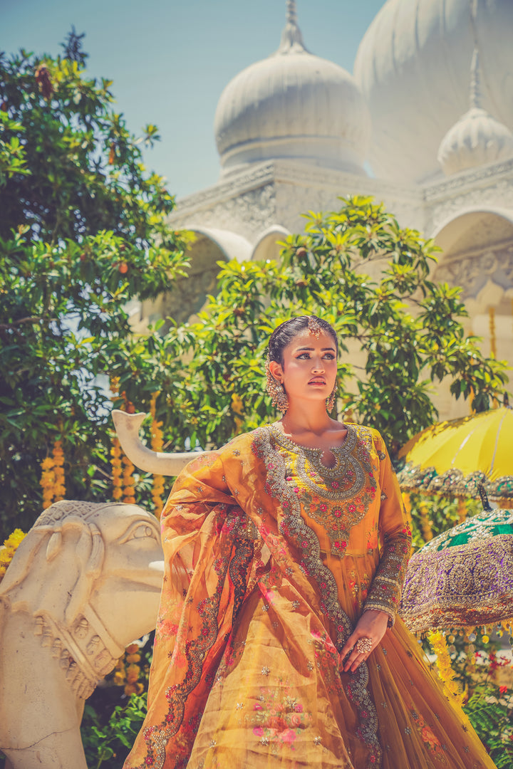 Kashees Naqsh Collection| KNNC-13|