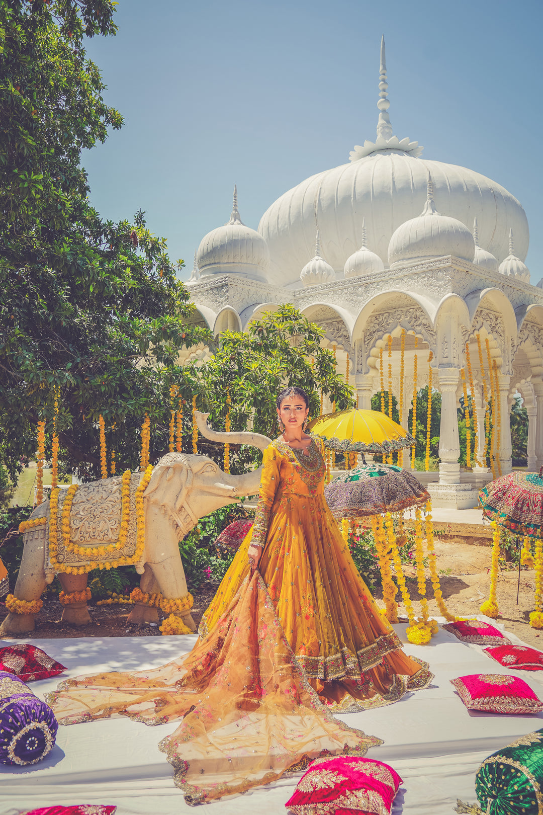 Kashees Naqsh Collection| KNNC-13|
