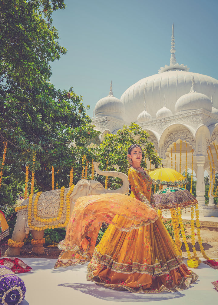 Kashees Naqsh Collection| KNNC-13|