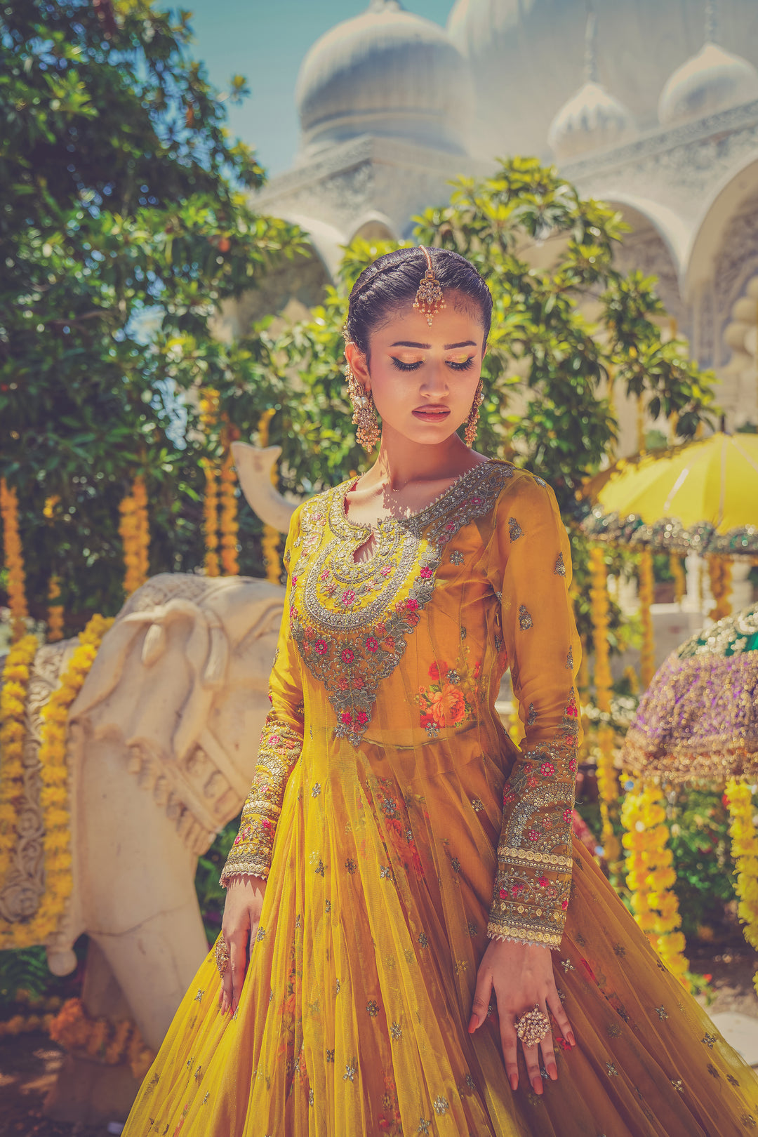 Kashees Naqsh Collection| KNNC-13|