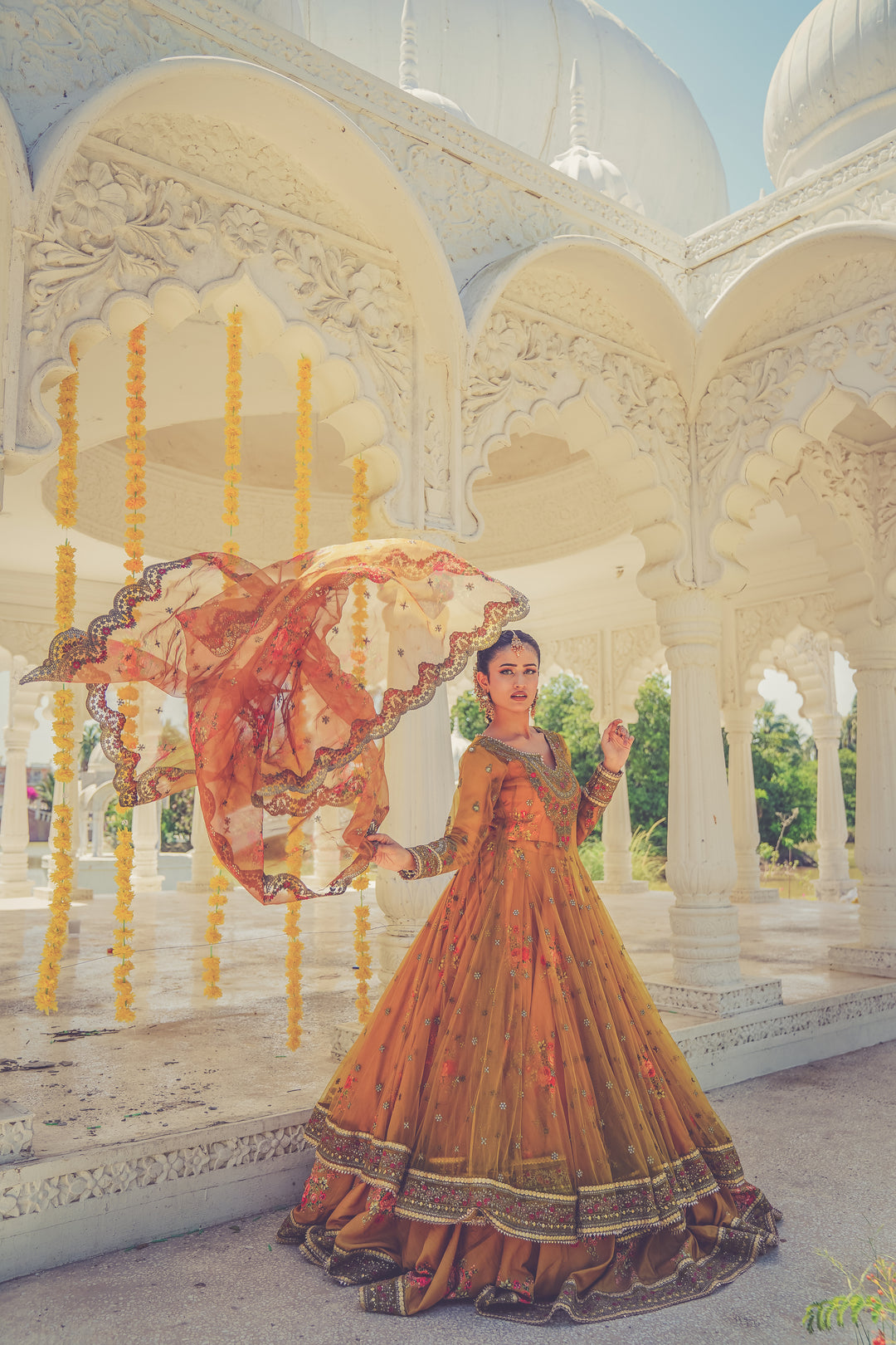 Kashees Naqsh Collection| KNNC-13|